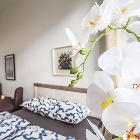 וינה Comfortable Accommodations In The Alterlaa Area Lv6 מראה חיצוני תמונה