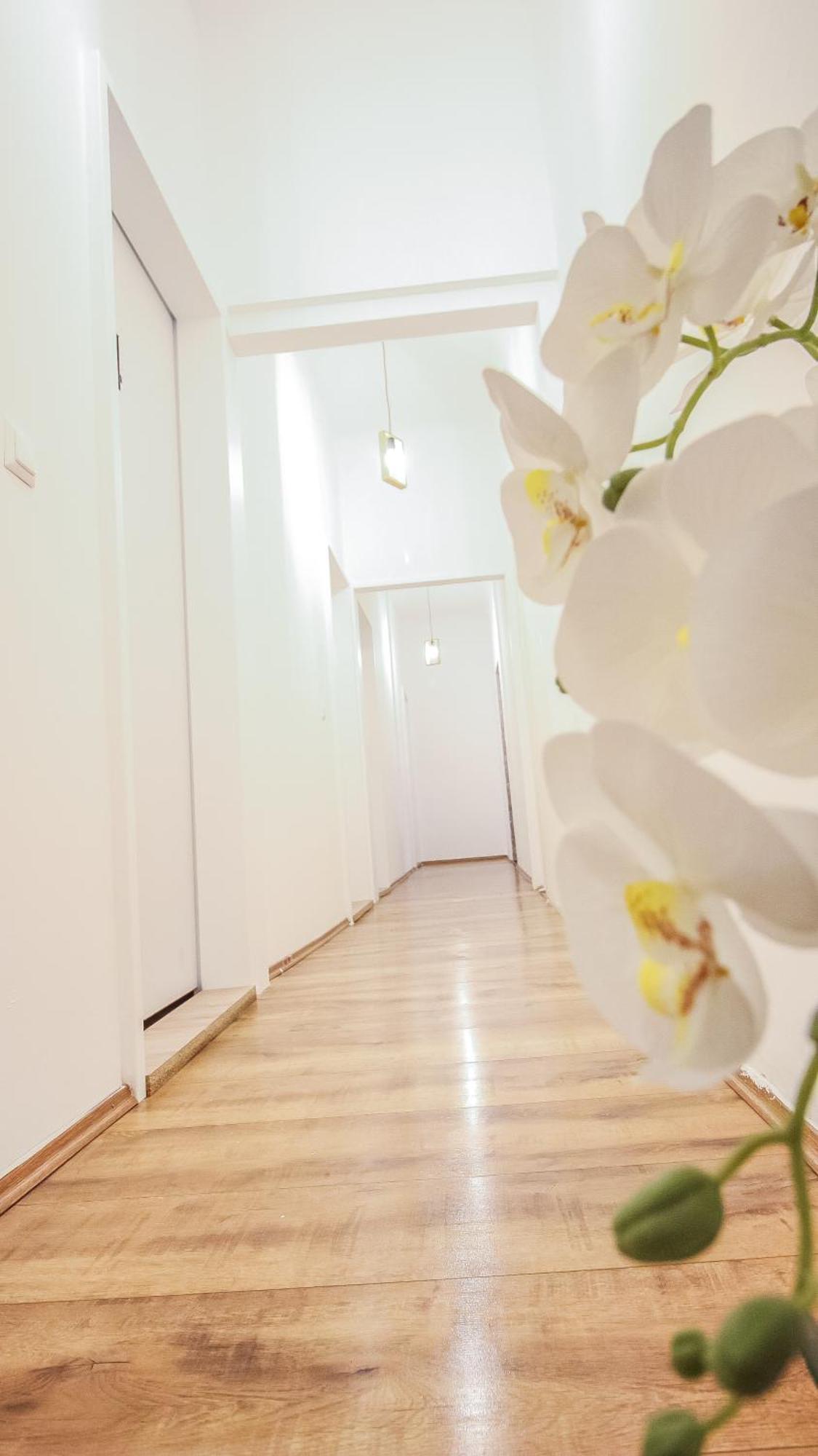 וינה Comfortable Accommodations In The Alterlaa Area Lv6 מראה חיצוני תמונה