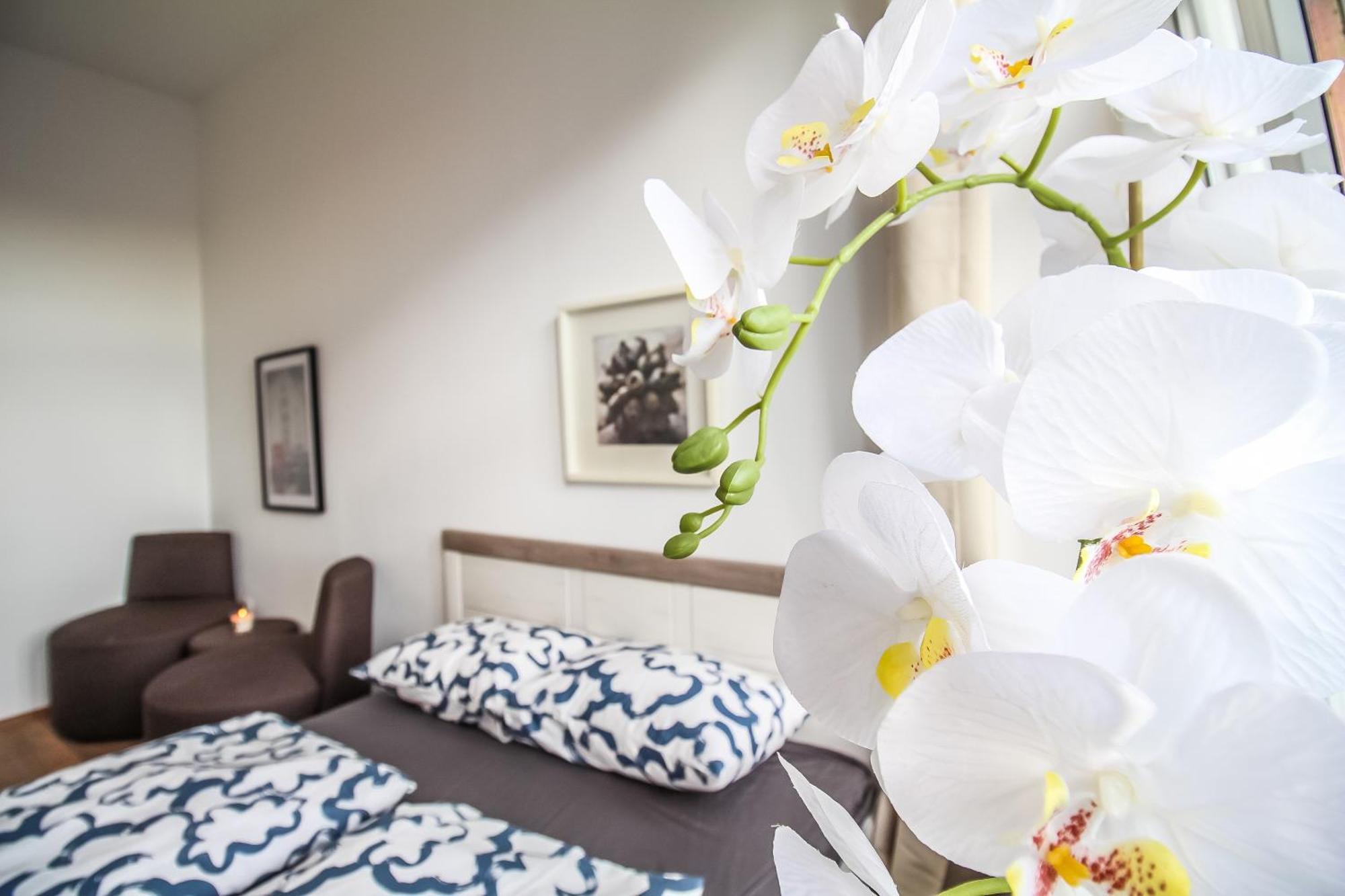 וינה Comfortable Accommodations In The Alterlaa Area Lv6 מראה חיצוני תמונה